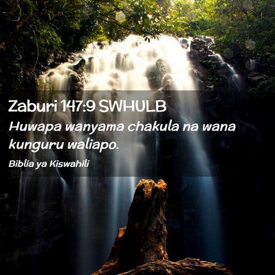 Picture 02 - Zaburi 147:9 SWHULB - Huwapa wanyama chakula na wana kunguru - Bible Verse Picture