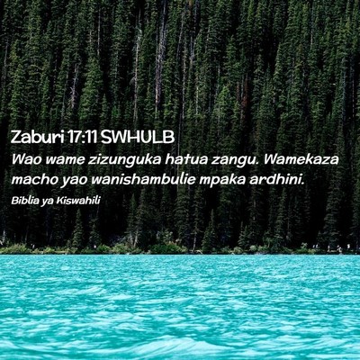 Picture 02 - Zaburi 17:11 SWHULB - Wao wame zizunguka hatua zangu. Wamekaza macho - Bible Verse Picture