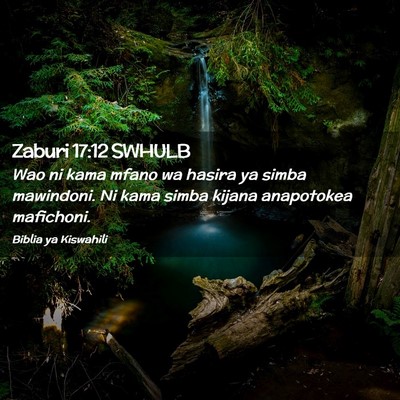 Picture 02 - Zaburi 17:12 SWHULB - Wao ni kama mfano wa hasira ya simba mawindoni. - Bible Verse Picture