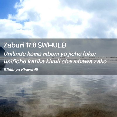 Picture 02 - Zaburi 17:8 SWHULB - Unilinde kama mboni ya jicho lako; unifiche - Bible Verse Picture