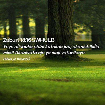 Picture 02 - Zaburi 18:16 SWHULB - Yeye alishuka chini kutokea juu; akanishikilia - Bible Verse Picture