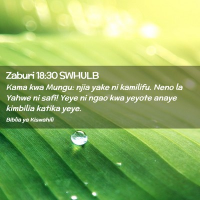 Picture 02 - Zaburi 18:30 SWHULB - Kama kwa Mungu: njia yake ni kamilifu. Neno la - Bible Verse Picture