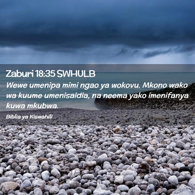 Picture 02 - Zaburi 18:35 SWHULB - Wewe umenipa mimi ngao ya wokovu. Mkono wako wa - Bible Verse Picture
