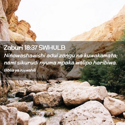 Picture 02 - Zaburi 18:37 SWHULB - Ninawashawishi adui zangu na kuwakamata; nami - Bible Verse Picture