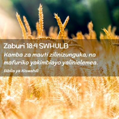 Picture 02 - Zaburi 18:4 SWHULB - Kamba za mauti zilinizunguka, na mafuriko - Bible Verse Picture