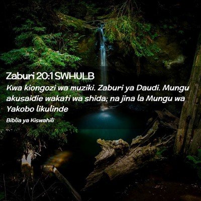 Picture 02 - Zaburi 20:1 SWHULB - Kwa kiongozi wa muziki. Zaburi ya Daudi. Mungu - Bible Verse Picture