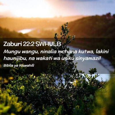 Picture 02 - Zaburi 22:2 SWHULB - Mungu wangu, ninalia mchana kutwa, lakini - Bible Verse Picture