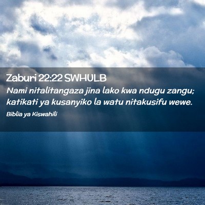 Picture 02 - Zaburi 22:22 SWHULB - Nami nitalitangaza jina lako kwa ndugu zangu; - Bible Verse Picture
