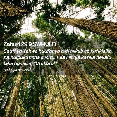 Picture 02 - Zaburi 29:9 SWHULB - Sauti ya Yahwe huufanya miti mikubwa kutikisika - Bible Verse Picture