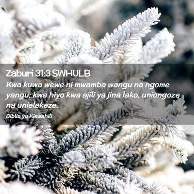 Picture 02 - Zaburi 31:3 SWHULB - Kwa kuwa wewe ni mwamba wangu na ngome yangu; kwa - Bible Verse Picture