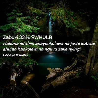 Picture 02 - Zaburi 33:16 SWHULB - Hakuna mfalme anayeokolewa na jeshi kubwa; shujaa - Bible Verse Picture
