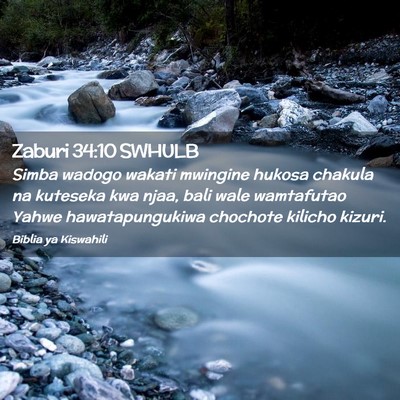 Picture 02 - Zaburi 34:10 SWHULB - Simba wadogo wakati mwingine hukosa chakula na - Bible Verse Picture