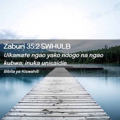 Picture 02 - Zaburi 35:2 SWHULB - Uikamate ngao yako ndogo na ngao kubwa; inuka - Bible Verse Picture