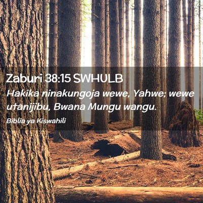 Picture 02 - Zaburi 38:15 SWHULB - Hakika ninakungoja wewe, Yahwe; wewe utanijibu, - Bible Verse Picture