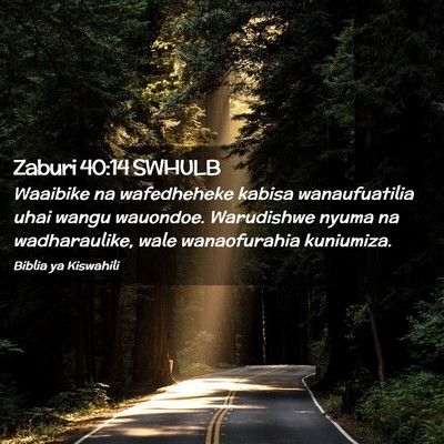 Picture 02 - Zaburi 40:14 SWHULB - Waaibike na wafedheheke kabisa wanaufuatilia uhai - Bible Verse Picture