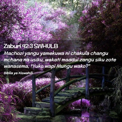 Picture 02 - Zaburi 42:3 SWHULB - Machozi yangu yamekuwa ni chakula changu mchana - Bible Verse Picture