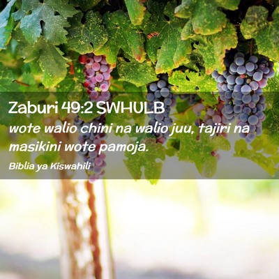 Picture 02 - Zaburi 49:2 SWHULB - wote walio chini na walio juu, tajiri na masikini - Bible Verse Picture