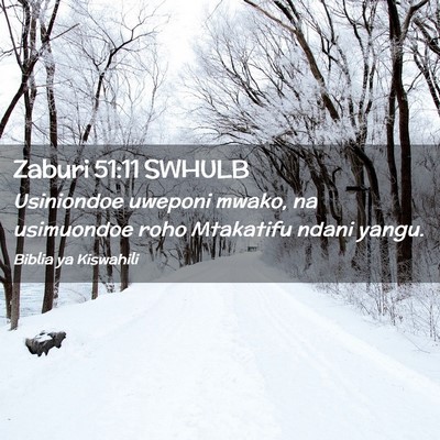 Picture 02 - Zaburi 51:11 SWHULB - Usiniondoe uweponi mwako, na usimuondoe roho - Bible Verse Picture