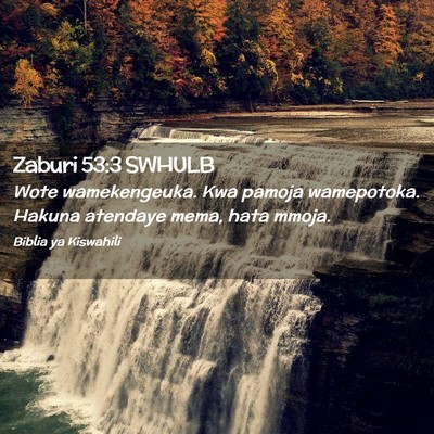 Picture 02 - Zaburi 53:3 SWHULB - Wote wamekengeuka. Kwa pamoja wamepotoka. Hakuna - Bible Verse Picture