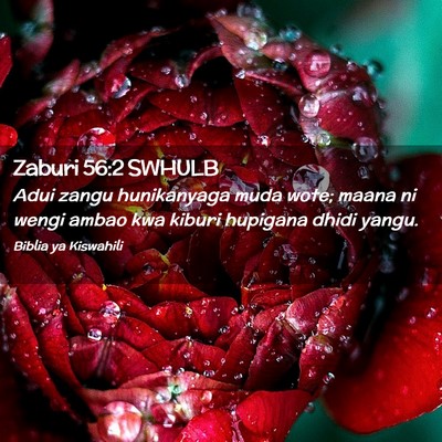 Picture 02 - Zaburi 56:2 SWHULB - Adui zangu hunikanyaga muda wote; maana ni wengi - Bible Verse Picture