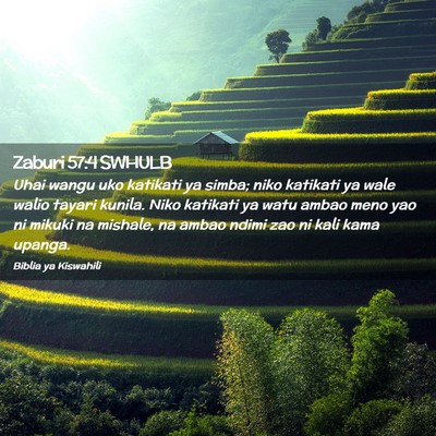 Picture 02 - Zaburi 57:4 SWHULB - Uhai wangu uko katikati ya simba; niko katikati - Bible Verse Picture