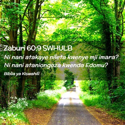 Picture 02 - Zaburi 60:9 SWHULB - Ni nani atakaye nileta kwenye mji imara? Ni nani - Bible Verse Picture
