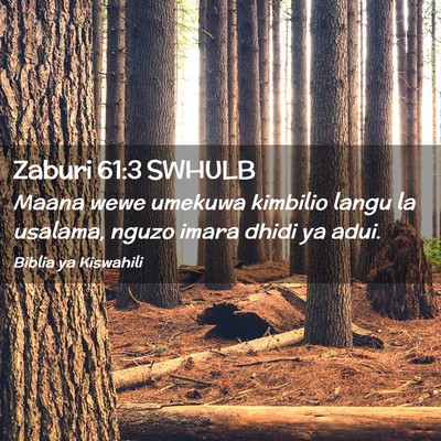 Picture 02 - Zaburi 61:3 SWHULB - Maana wewe umekuwa kimbilio langu la usalama, - Bible Verse Picture