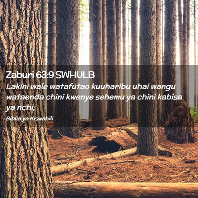 Picture 02 - Zaburi 63:9 SWHULB - Lakini wale watafutao kuuharibu uhai wangu - Bible Verse Picture