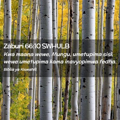 Picture 02 - Zaburi 66:10 SWHULB - Kwa maana wewe, Mungu, umetupima sisi, wewe - Bible Verse Picture