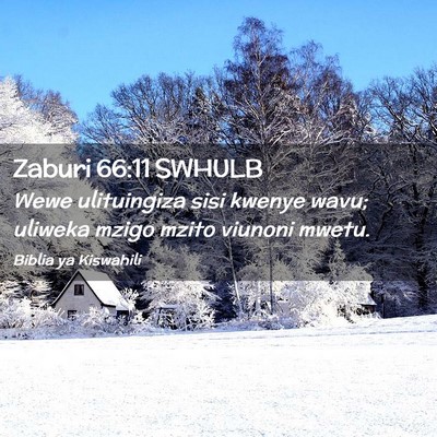 Picture 02 - Zaburi 66:11 SWHULB - Wewe ulituingiza sisi kwenye wavu; uliweka mzigo - Bible Verse Picture
