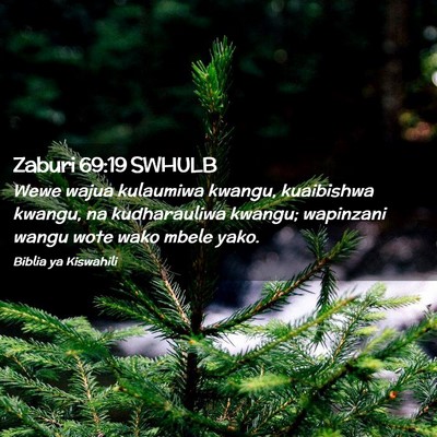 Picture 02 - Zaburi 69:19 SWHULB - Wewe wajua kulaumiwa kwangu, kuaibishwa kwangu, - Bible Verse Picture
