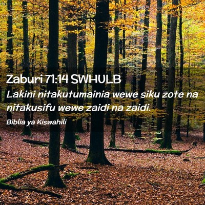 Picture 02 - Zaburi 71:14 SWHULB - Lakini nitakutumainia wewe siku zote na - Bible Verse Picture