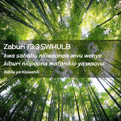 Picture 02 - Zaburi 73:3 SWHULB - kwa sababu niliwaonea wivu wenye kiburi nilipoona - Bible Verse Picture