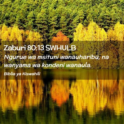 Picture 02 - Zaburi 80:13 SWHULB - Ngurue wa msituni wanauharibu, na wanyama wa - Bible Verse Picture