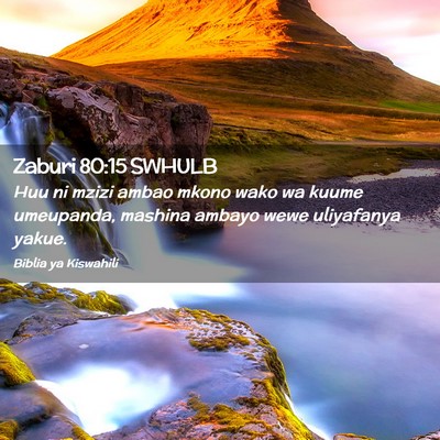 Picture 02 - Zaburi 80:15 SWHULB - Huu ni mzizi ambao mkono wako wa kuume umeupanda, - Bible Verse Picture