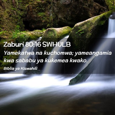 Picture 02 - Zaburi 80:16 SWHULB - Yamekatwa na kuchomwa; yameangamia kwa sababu ya - Bible Verse Picture