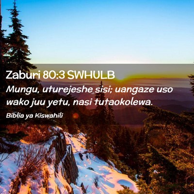 Picture 02 - Zaburi 80:3 SWHULB - Mungu, uturejeshe sisi; uangaze uso wako juu - Bible Verse Picture