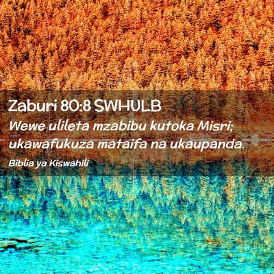 Picture 02 - Zaburi 80:8 SWHULB - Wewe ulileta mzabibu kutoka Misri; ukawafukuza - Bible Verse Picture