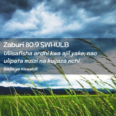 Picture 02 - Zaburi 80:9 SWHULB - Uliisafisha ardhi kwa ajil yake; nao ulipata - Bible Verse Picture