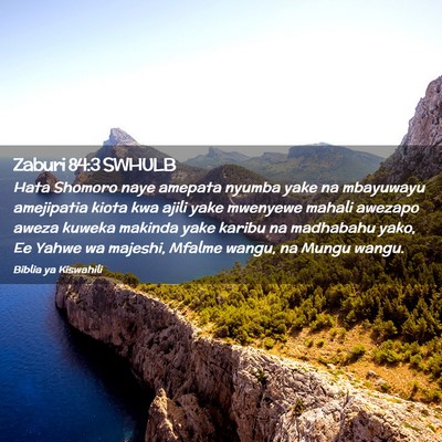Picture 02 - Zaburi 84:3 SWHULB - Hata Shomoro naye amepata nyumba yake na - Bible Verse Picture