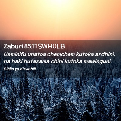 Picture 02 - Zaburi 85:11 SWHULB - Uaminifu unatoa chemchem kutoka ardhini, na haki - Bible Verse Picture