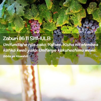 Picture 02 - Zaburi 86:11 SWHULB - Unifundishe njia zako, Yahwe. Kisha nitatembea - Bible Verse Picture