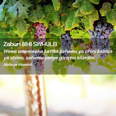 Picture 02 - Zaburi 88:6 SWHULB - Wewe umeniweka katika sehemu ya chini kabisa ya - Bible Verse Picture