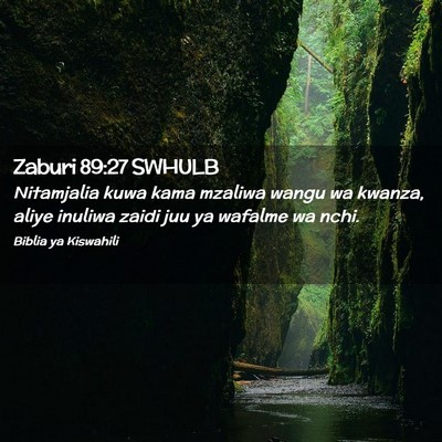 Picture 02 - Zaburi 89:27 SWHULB - Nitamjalia kuwa kama mzaliwa wangu wa kwanza, - Bible Verse Picture