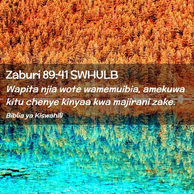 Picture 02 - Zaburi 89:41 SWHULB - Wapita njia wote wamemuibia, amekuwa kitu chenye - Bible Verse Picture