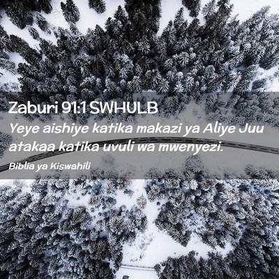 Picture 02 - Zaburi 91:1 SWHULB - Yeye aishiye katika makazi ya Aliye Juu atakaa - Bible Verse Picture