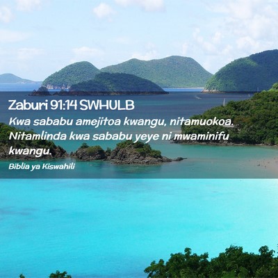Picture 02 - Zaburi 91:14 SWHULB - Kwa sababu amejitoa kwangu, nitamuokoa. - Bible Verse Picture