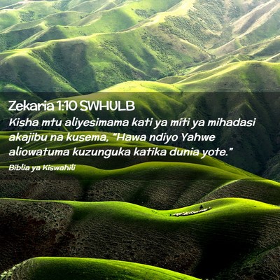 Picture 02 - Zekaria 1:10 SWHULB - Kisha mtu aliyesimama kati ya miti ya mihadasi - Bible Verse Picture