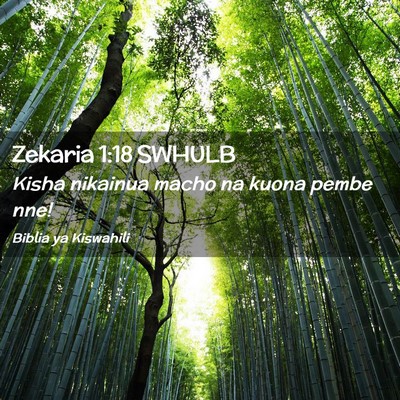 Picture 02 - Zekaria 1:18 SWHULB - Kisha nikainua macho na kuona pembe - Bible Verse Picture