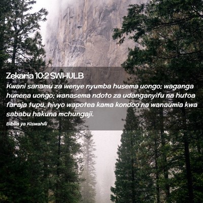 Picture 02 - Zekaria 10:2 SWHULB - Kwani sanamu za wenye nyumba husema uongo; - Bible Verse Picture